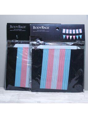 x2 2 Pk Pride LGBTQ Flag Transgender String Banner Garland Mini Flags